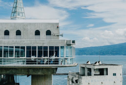 “Chinamaxxing”火热海外社交媒体