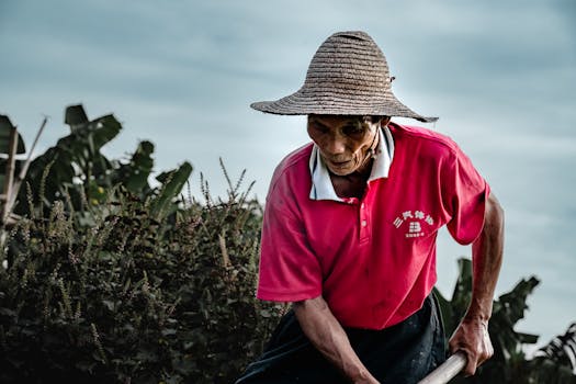 金融监管总局、财政部、农业农村部、中国人民银行发布关于做好帮扶小额信贷工作的通知