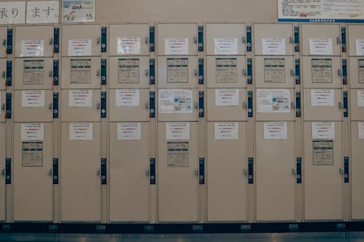 教育部印发关于全面推进健康学校建设的指导意见 让学生“身上有汗、眼里有光” 新闻