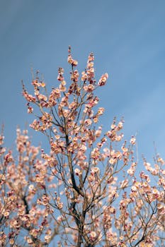 恒瑞医药创新突破;HRS9531注射液获批开展慢性肾脏病临床试验。 IT技术 恒瑞医药创新突破;HRS9531注射液获批开展慢性肾脏病临床试验。 IT技术