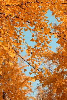 贵金属价格剧烈震荡,直播锁价机制频现履约难题。 新闻 贵金属价格剧烈震荡,直播锁价机制频现履约难题。 新闻 贵金属价格剧烈震荡,直播锁价机制频现履约难题。 新闻 贵金属价格剧烈震荡,直播锁价机制频现履约难题。 新闻 贵金属价格剧烈震荡,直播锁价机制频现履约难题。 新闻 贵金属价格剧烈震荡,直播锁价机制频现履约难题。 新闻