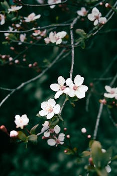  国务院常务会议部署新一年重点工作；银发经济潜力待挖掘，基层消防安全需强化。 新闻 国务院常务会议部署新一年重点工作；银发经济潜力待挖掘，基层消防安全需强化。 新闻 国务院常务会议部署新一年重点工作；银发经济潜力待挖掘，基层消防安全需强化。 新闻 国务院常务会议部署新一年重点工作；银发经济潜力待挖掘，基层消防安全需强化。 新闻 国务院常务会议部署新一年重点工作；银发经济潜力待挖掘，基层消防安全需强化。 新闻