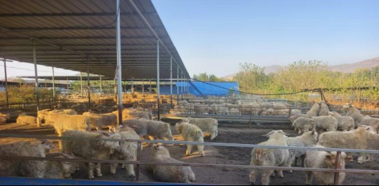  县域特色产业蓬勃发展；普惠金融下沉一线；两会信号指引方向。 新闻 县域特色产业蓬勃发展；普惠金融下沉一线；两会信号指引方向。 新闻 县域特色产业蓬勃发展；普惠金融下沉一线；两会信号指引方向。 新闻 县域特色产业蓬勃发展；普惠金融下沉一线；两会信号指引方向。 新闻 县域特色产业蓬勃发展；普惠金融下沉一线；两会信号指引方向。 新闻