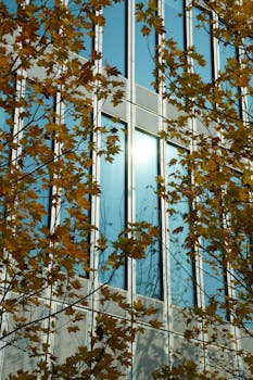  金蝶国际2025年业绩亮眼；经调整净利润扭亏为盈，云服务占比超八成。 IT技术 金蝶国际2025年业绩亮眼；经调整净利润扭亏为盈，云服务占比超八成。 IT技术 金蝶国际2025年业绩亮眼；经调整净利润扭亏为盈，云服务占比超八成。 IT技术