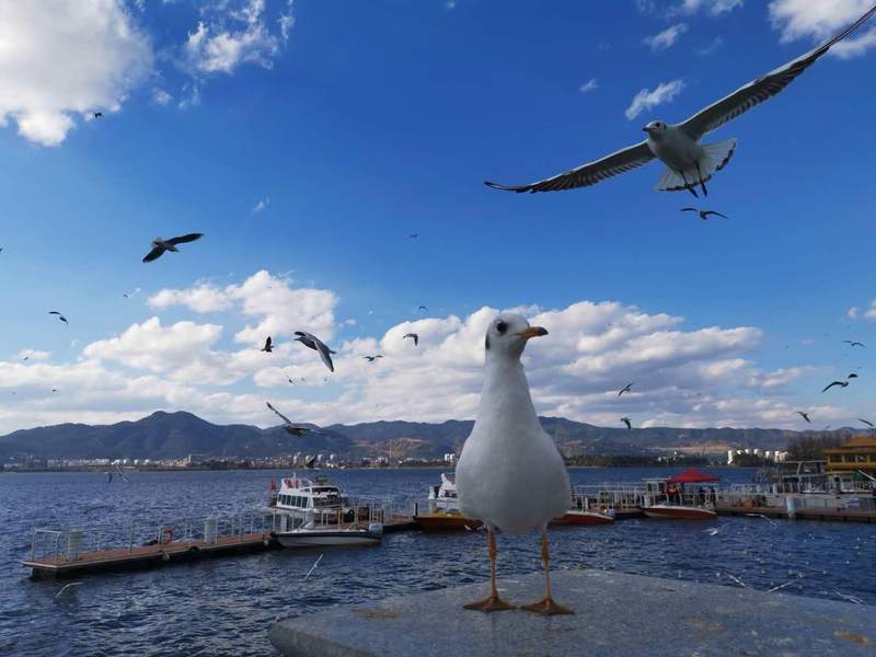 高校宿舍改造投资逻辑:1.12亿背后的基础设施升级路径 房产家居