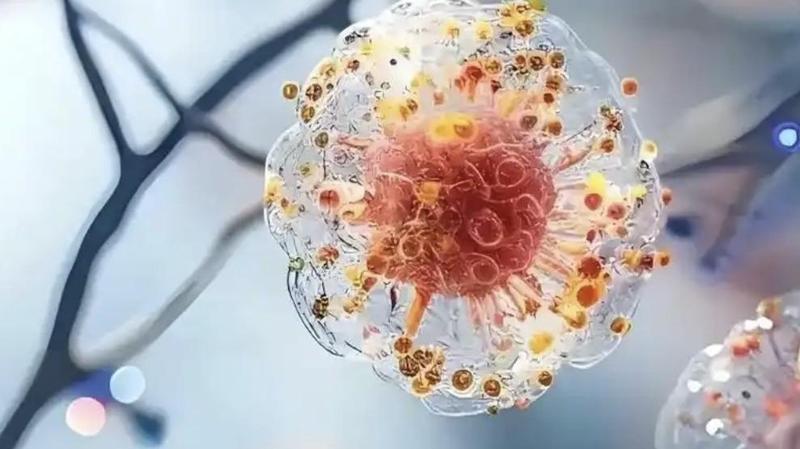  金融开放的十年回望：从账户试点看上海作为全球资本枢纽的演进 情感心理