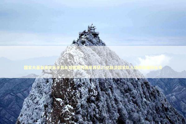 国家大基金首次出手具身智能银河通用再获25亿融资国家队入场释放重磅信号