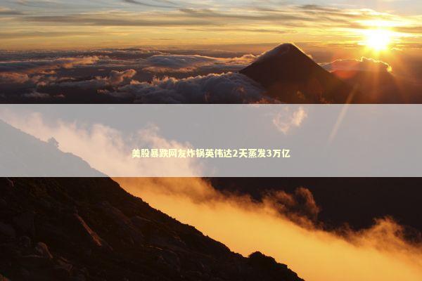 美股暴跌网友炸锅英伟达2天蒸发3万亿 美股暴跌网友炸锅英伟达2天蒸发3万亿 新闻