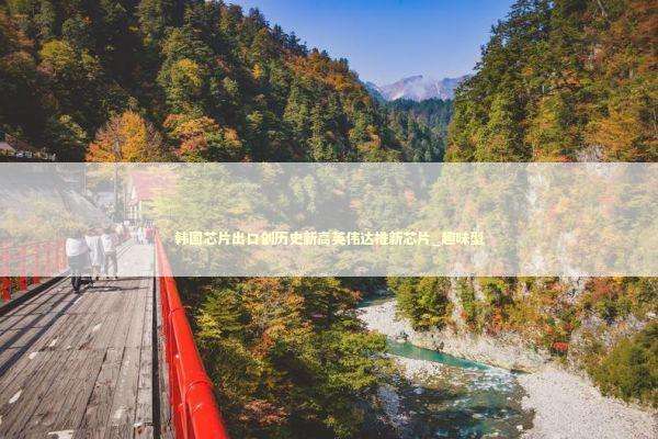 韩国芯片出口创历史新高英伟达推新芯片_趣味型