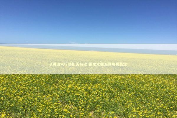 A股油气行情能否持续 霍尔木兹海峡危机悬念 新闻