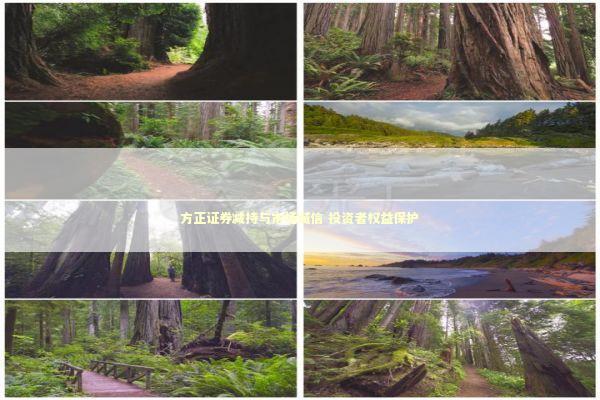 方正证券减持与市场诚信 投资者权益保护