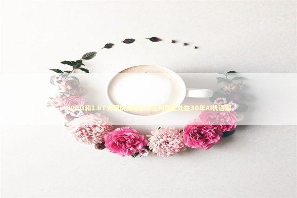 800G和1.6T光模块卖爆了华工科技正处在30年AI机遇期 800G和1.6T光模块卖爆了华工科技正处在30年AI机遇期 新闻