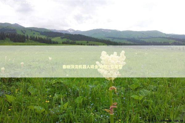 春晚顶流机器人吸金35亿_引用型 春晚顶流机器人吸金35亿_引用型 新闻