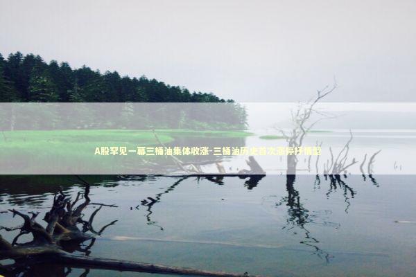 A股罕见一幕三桶油集体收涨-三桶油历史首次涨停抒情型