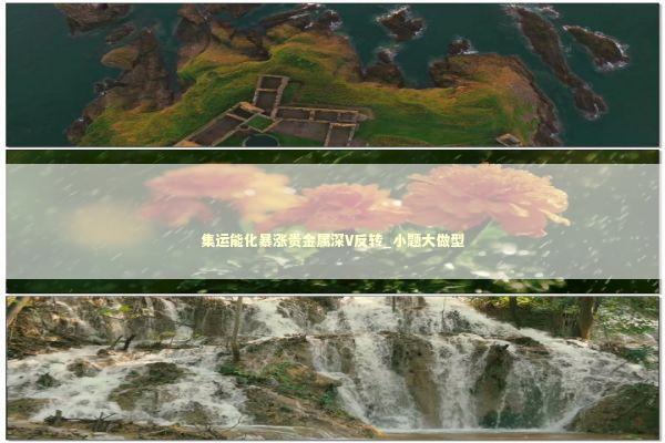 集运能化暴涨贵金属深V反转_小题大做型 集运能化暴涨贵金属深V反转_小题大做型 新闻