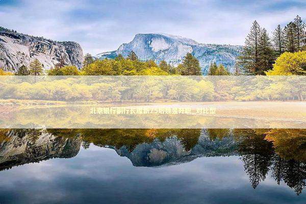 北京银行副行长履新75后魏昱升职_对比型 北京银行副行长履新75后魏昱升职_对比型 新闻