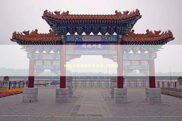 HALO交易走红华尔街_抒情型 HALO交易走红华尔街_抒情型 新闻