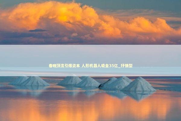 春晚顶流引爆资本 人形机器人吸金35亿_抒情型 春晚顶流引爆资本 人形机器人吸金35亿_抒情型 新闻