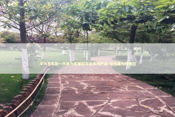 华为发布新一代算力底座超节点系列产品-华为算力抒情型 新闻