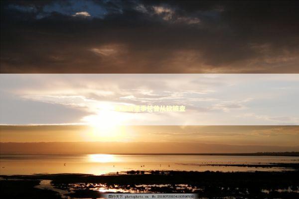 五粮液董事长曾从钦被查 五粮液董事长曾从钦被查 新闻