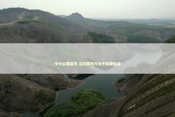 中小公募困境 日均营收万元不如便利店 中小公募困境 日均营收万元不如便利店 新闻