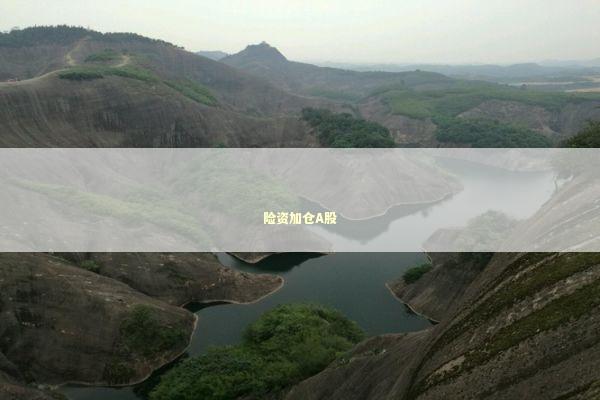 险资加仓A股 险资加仓A股 新闻