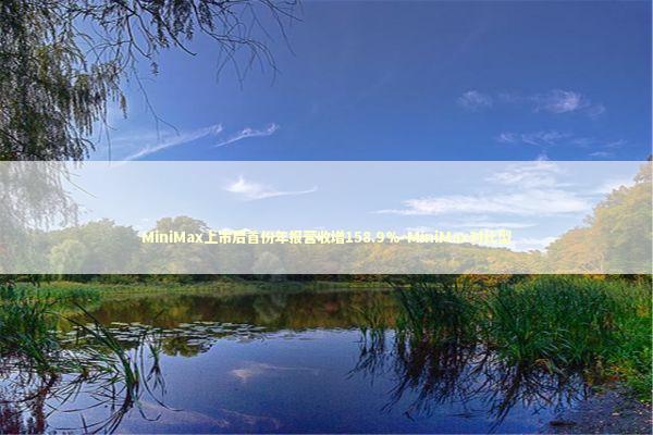 MiniMax上市后首份年报营收增158.9%-MiniMax对比型 MiniMax上市后首份年报营收增158.9%-MiniMax对比型 新闻