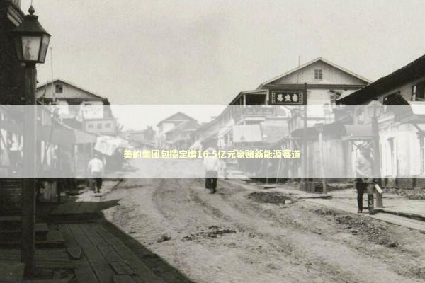 美的集团包揽定增16.5亿元豪赌新能源赛道 新闻