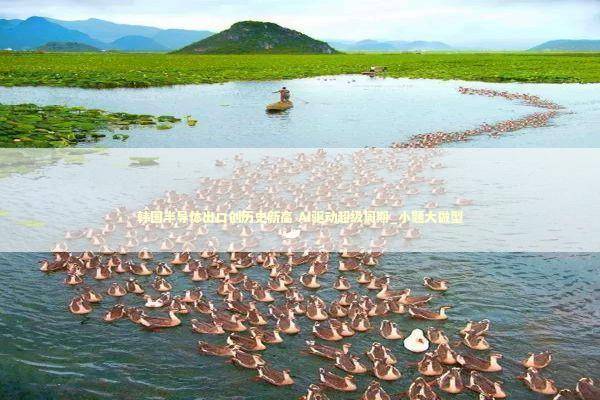 韩国半导体出口创历史新高 AI驱动超级周期_小题大做型 韩国半导体出口创历史新高 AI驱动超级周期_小题大做型 新闻