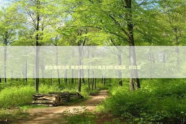 避险情绪狂飙 黄金突破5300美元创历史新高_对比型