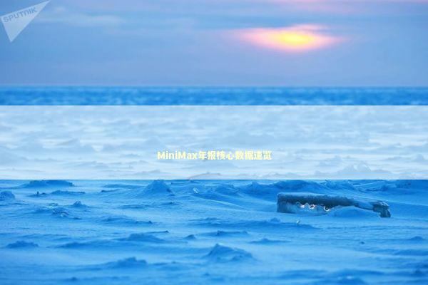 MiniMax年报核心数据速览 新闻