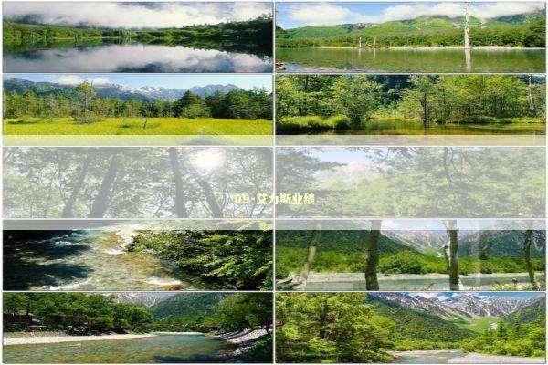 09-艾力斯业绩 新闻