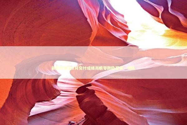 新势力车企2月交付成绩亮眼零跑稳居第一梯队 新势力车企2月交付成绩亮眼零跑稳居第一梯队 新闻