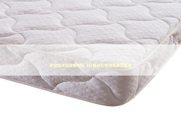 低空经济迎政策利好飞行器动力电池发展获关注 低空经济迎政策利好飞行器动力电池发展获关注 新闻