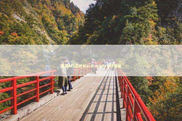 苹果M5芯片MacBookPro抒情版 新闻