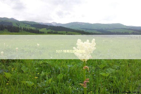327-特斯拉欧洲困境 327-特斯拉欧洲困境 新闻