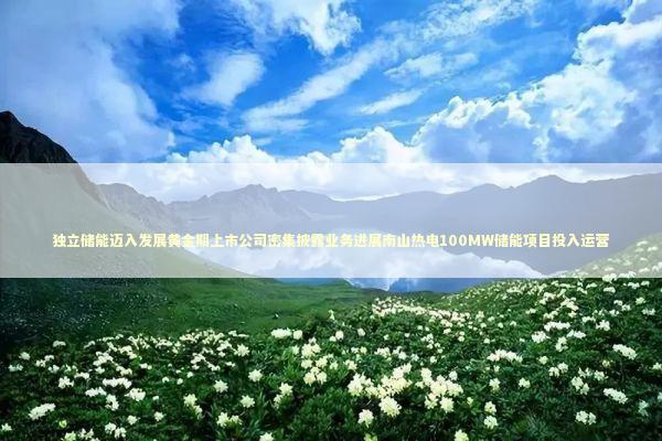 独立储能迈入发展黄金期上市公司密集披露业务进展南山热电100MW储能项目投入运营 独立储能迈入发展黄金期上市公司密集披露业务进展南山热电100MW储能项目投入运营 新闻