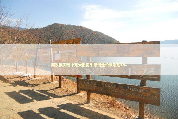 突发黑天鹅中东大撤离引恐慌金价飙涨超1%