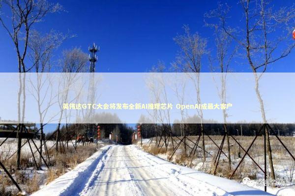 英伟达GTC大会将发布全新AI推理芯片 OpenAI成最大客户 新闻