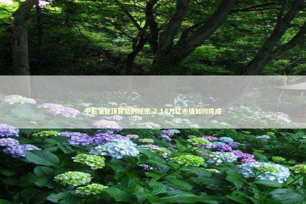 中石油登顶背后的秘密 2.14万亿市值如何炼成 新闻