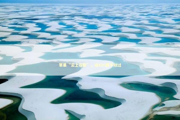 苹果“云上谷歌”，连Siri都不放过