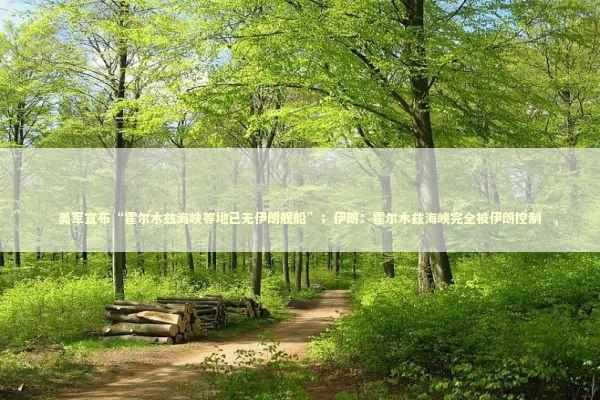 美军宣布“霍尔木兹海峡等地已无伊朗舰船”；伊朗：霍尔木兹海峡完全被伊朗控制