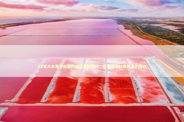 12家火车票平台被约谈后整改如何：记者追访付费抢票仍存在 新闻