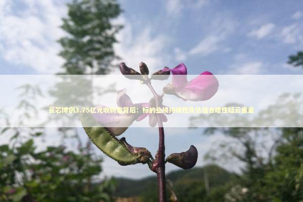 长芯博创3.75亿元收购案背后：标的业绩持续性及估值合理性疑云重重