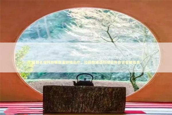 曼联名宿阿斯顿病重缺钱治疗，拉爵削减退役球员协会资金被指责 新闻