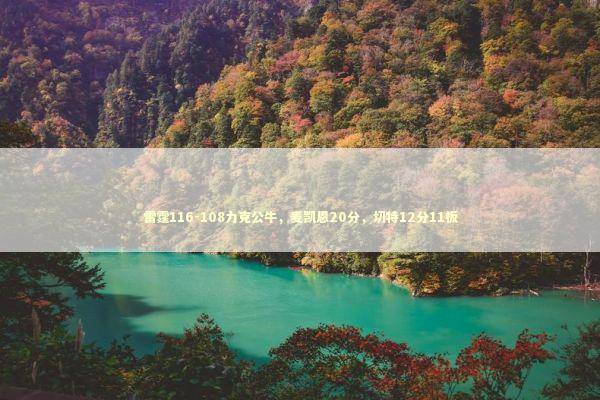 雷霆116-108力克公牛,麦凯恩20分,切特12分11板 雷霆116-108力克公牛,麦凯恩20分,切特12分11板 新闻