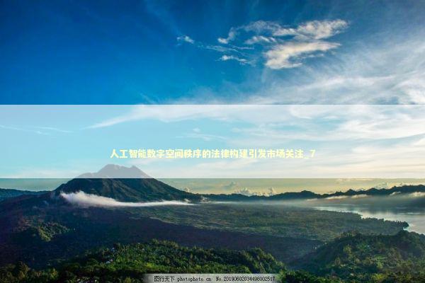 人工智能数字空间秩序的法律构建引发市场关注_7