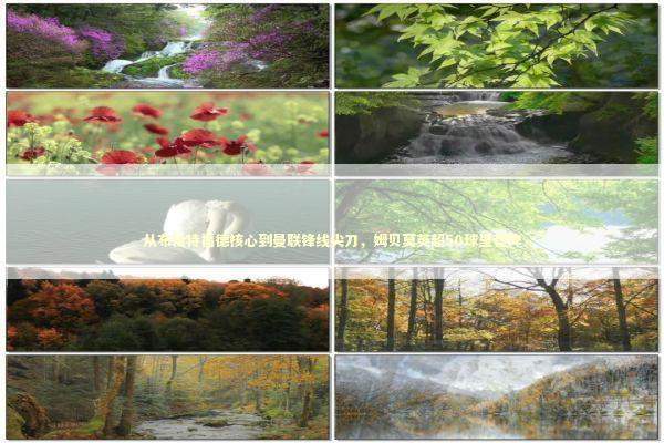 从布伦特福德核心到曼联锋线尖刀，姆贝莫英超50球里程碑 新闻