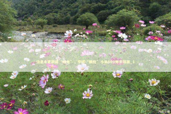 信息未更新闹“乌龙”，李斌“躺枪”小米500万索赔案_1 新闻