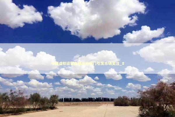 中国虚拟运营商要走出国门引发市场关注_8